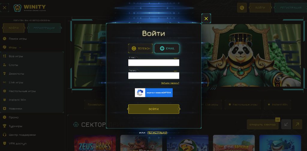 Скриншот окна входа на официальный сайт Winity Casino